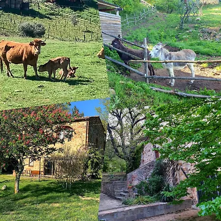 Podere Bellavista